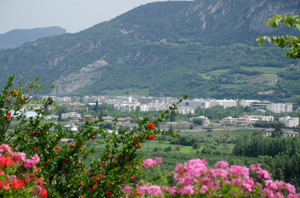 Garni San Giorgio Della Scala And Breakfast 3* Trento